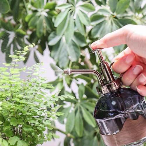 Plant Mister Spray Bottle Vintage Glass Fine Mist Spritzer 6.7OZ | Gray Spray Bottles, Misters Mini Watering Can Glass Sprayer Misting for Garden Plants Indoor Outdoor Decor Cleaning - color: D-Distant Hill