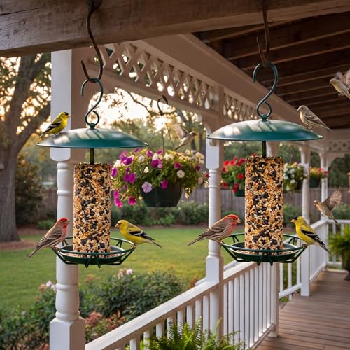 2 Pcs Cylinder Bird Feeder Outdoor Seed Cake Feeder Metal Suet Cake Holder Backyard Wild Bird Feeding Feeders for Outdoors Garden (Dark Green) - color: Dark Green