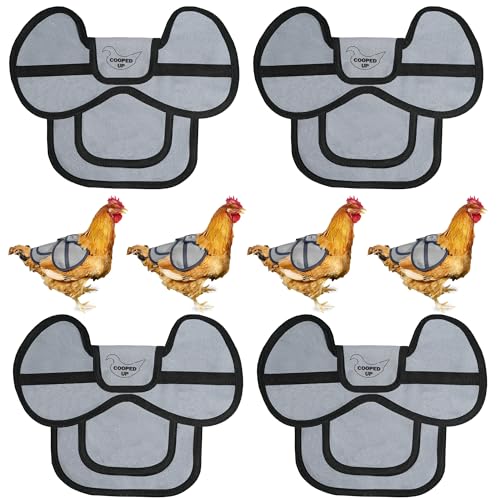 COOPED UP Canvas Chicken Saddle for Medium-Large Hens with Larger Wing Cover and Adjustable Straps - Gray, 4 Pack - color: Grey