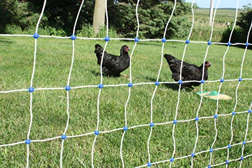 48” x 100’ Premium Plus+ Braided Electric Poultry Netting (12/48/3) Electric Chicken Fencing for Backyards, Homesteads, Farms, and Ranches