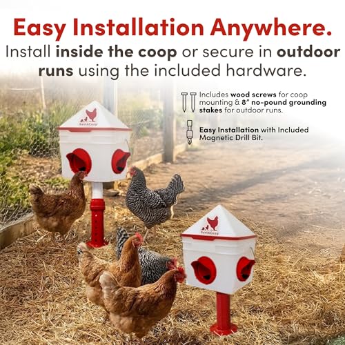 RentACoop Chick2Chicken 10lb BPA-Free 4-Medium Port Feeder