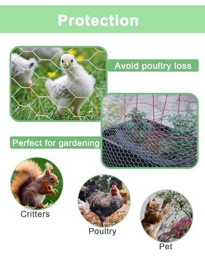 Galvanized Chicken Wire Mesh Roll 13.7" x 590", 0.8 Inch Hexagonal Poultry Netting Fence for Garden, Rabbits, Chicken Coop, Plant Protection & DIY Crafts - size: 13.7 inch x 49.2 Ft