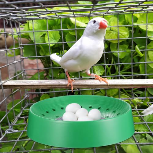 Balacoo 10 Pcs Pigeon Nest Bowls, Durable Plastic Dove Nesting Box with Pad | Breathable Washable Quail Nest, Bird Egg Rest Beds for Doves, Pigeon, Quails & Small Birds - Bird Cage Supplies (Green)