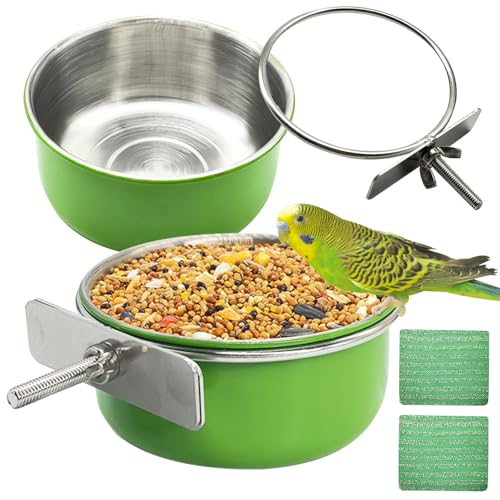 2 Pcs Parrot Feeding Dish Cups,Stainless Steel Bird Food Water Feeder Bowls | Parrot Cage Feeder with Clamp Holder Small Bird Feeding Cup for Parakeet Cockatiels Conure Budgies Chinchilla Small Animal - size: 2pcs Green