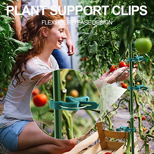 Yinghezu 40 Pcs Plant Support Clips,Tomato Plant Clips 2 Sizes in one Pack | Flower and Vine,Garden clips for Supporting Stems,Vines Grow Upright Climbing,Tool for Straightening,Tomato Cage,Trellis. - size: 40 PCS (20 small + 20 large)