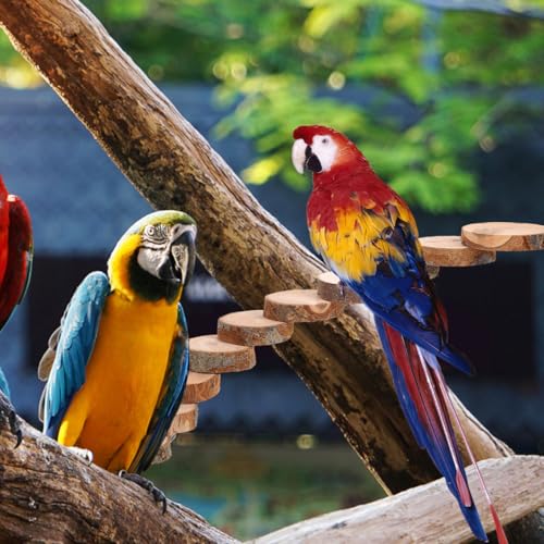 Balacoo Parrot Ladder, Bird Platform Perch, Hamster Platform, Parakeet Cage Toy, Bird Cage Natural Wood Ladder, Standing Perch (10 Steps)
