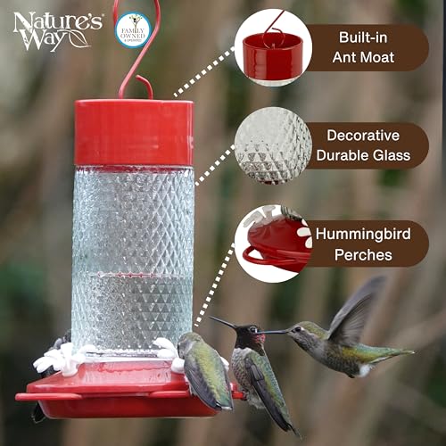 Nature's Way Hanging Glass Hummingbird Feeder for Outdoor Décor, 13 Ounce Capacity Nectar Feeder, Ant Moat, 4 Easy to Clean Flexible Ports, Red - style: 13 Ounce Capacity