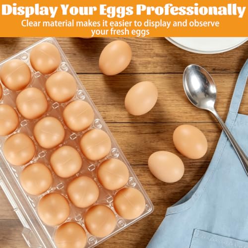 36 PCS Plastic Egg Cartons Cheap Bulk 18 Count Clear Blank Egg Cartons with Free Labels Holds up to 18 Eggs Securely Reusable Egg Carton for Family Pasture Chicken Farm Market Display, 3x6 Grids - size: 3X6