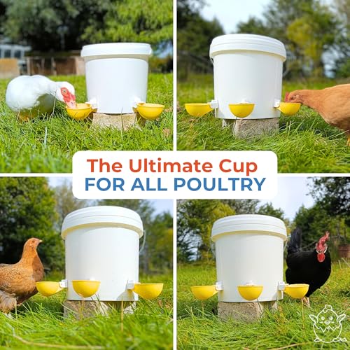 Lil'Clucker - Large Automatic Chicken Waterer Cups Suitable for Ducks, Geese, Turkeys, and Bunny Rabbit - Water Feeder Kit - Poultry Waterer (Yellow, 5 Pack) - color: Yellow, size: 5 Pack