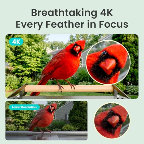 Smart Bird Feeder with 4K AI Camera, Dual-Band 2.4/5GHz Wi-Fi | 4K HDR Video, Lifetime Free AI Bird ID, Solar Powered, Full-Metal, Easy Setup & Sharing 20+ Family, Bird Watching Gift