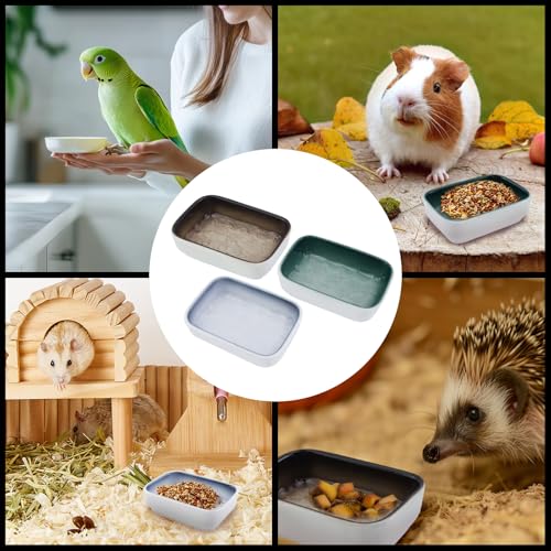 Ceramic Feeding Bowls for Small Animals, Blue + Green + Brown | Ceramic, Not Easily Tipped Over Design, Suitable for Hamsters, Guinea Pigs, Hedgehogs, Flying Squirrels, Mice, Chipmunks