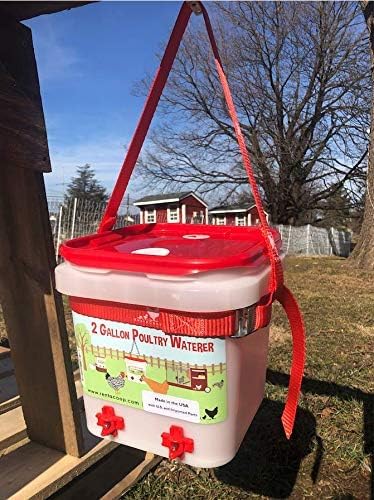 RentACoop Hanging Strap for Chicken Waterers and Feeders