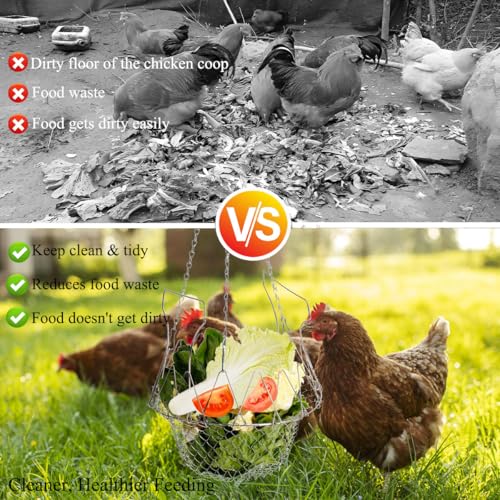 chicken treat dispenser hanging, 9.5in Large Foldable Chicken Ball Vegetable Treat Holder Ball with Hanging Stainless Chain,Sturdy Poultry Cabbage Feeder Basket for Chicken Coop(2 Pack Large)