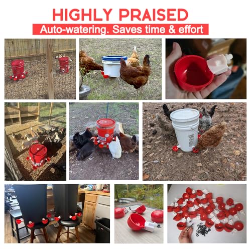 32 Pack Auto Chicken Poultry Waterer Cups Feeder for Diy Chicken Coop Automatic Watering Cup Dispenser Drinker Bebederos De Agua Para Gallinas with Mounting Hole Opener Double Leak-proof Washer - size: 32 Pcs