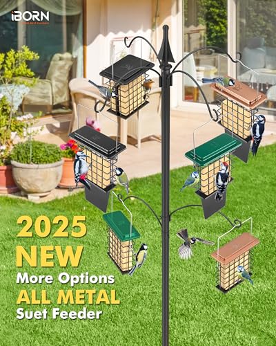 iBorn Metal Suet Feeder with Tail Prop | Durable Suet Cake Cage Bird Feeder for Outdoors，Woodpecker Feeder for Outside Hanging，Heavy-Duty Suet Holder,Easy Clean & Refill,1 Pack,Black - color: Black, size: Single Capacity