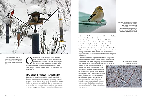 Feed the Birds: Attract and Identify 196 Common North American Birds