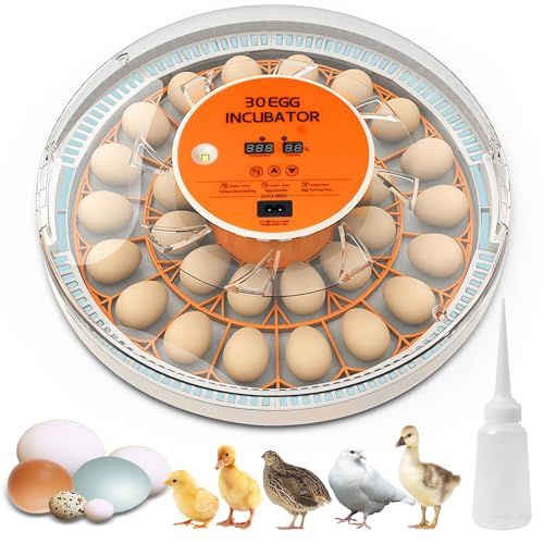 30 Egg Incubator with Automatic Egg Turning and Humidity Control,360 Degree View with Clear Window, Incubators for Hatching Eggs, Chicken, Ducks, Goose, Pigeon, Quail, Parrot - size: 30 Eggs