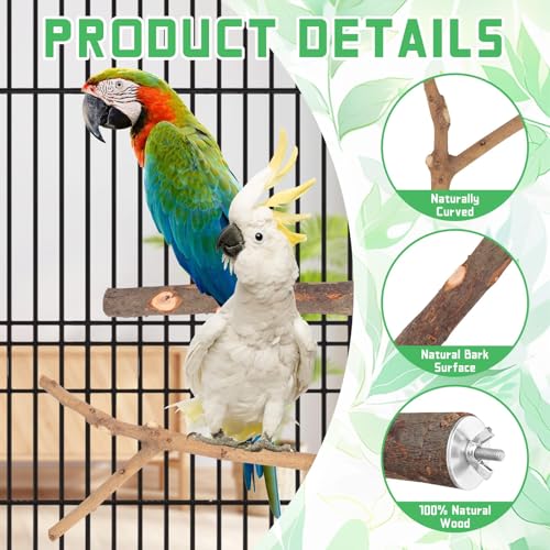 4-Pack Natural Wood Bird Perch Stand with Spacious Platform, Thick & Long Branches, Large Parrot Cage Accessories for African Grey, Macaws, Conures, Eclectus (Medium & Large Birds) - size: Size for Medium & Large Birds