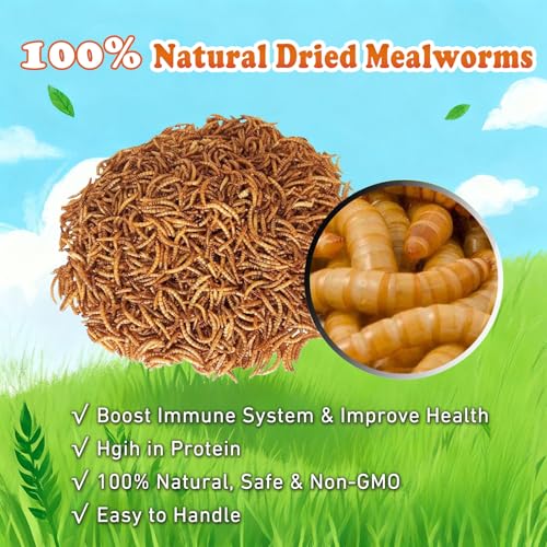 Amzey Dried Mealworms 2 LB, 100% Natural Meal Worms for Chicken & Birds, Organic Chicken Feed for Laying Hens, High Protein and Nutrition, Zipped Bag - size: 2 Pound (Pack of 1)