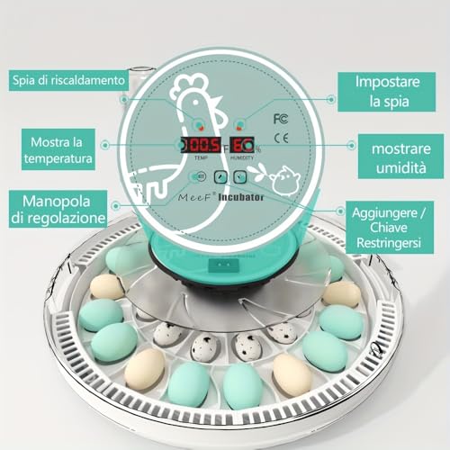 MeeF Egg Incubator for Hatching 28 Eggs, Auto Flip, Independent Atomizing Humidifier, with Duck and Goose Egg Trays (Green)
