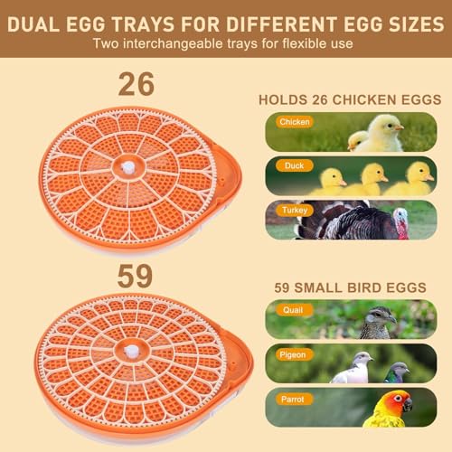 Series V-Fully Automatic 26 Egg Incubator, Spill-Proof Bottle-Free Water System, Precise Sensor-Based Humidity & Temp Control, Adjustable Auto Egg Turn, Preset Incubation Days (26-Egg-Orange) - size: 26-Egg-Orange