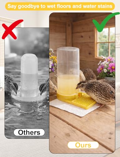 Ultra Leak-Proof Quail Chick Water Feeder – Premium Large Capacity, Non-Toxic & Durable, Ideal Button Quails Waterer, No-Spill Quail Coop & Poultry Supplies for Easy Hydration
