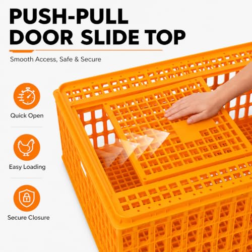 4 Pcs Poultry Carrier Crates, 29 x 21 x 13 in | Sturdy ventilated plastic transport boxes for chickens, ducks, geese, birds, farms, backyard coops, and hatcheries