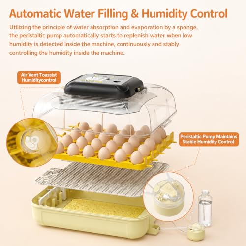 Egg Incubators for Hatching 30 Eggs with Temperature Humidity Control | Chicken Incubator with Humidity Display Auto Water Filling,Quail Incubator with Automatic Egg Turning - color: Yellow
