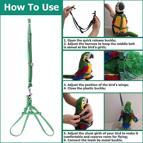 ASOCEA Adjustable Bird Harness and Leash, 2 Pack Bird Food Stainless Steel Cups for Yellow Naped Amazons Galah Cockatoos Small to Medium Breed Parrots Fits Birds Chest