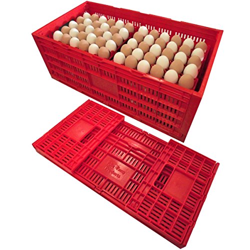 EGG TRAY CARTON TRANSPORT CRATE CHICKEN SHIPPING POULTRY CASE