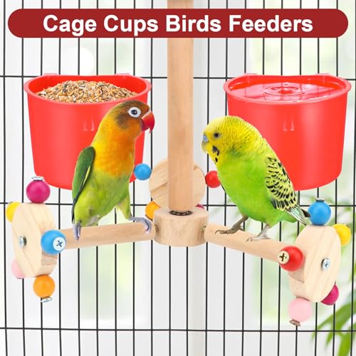 40 Pcs Cage Cups Birds Feeders – Hanging Chicken Feeders & Waterers, Bird Water Dispenser, 8 oz Plastic Food/Water Bowl for Parrot, Pigeons, Quail, Gamefowl, Bunny, and Small Pets (Red)