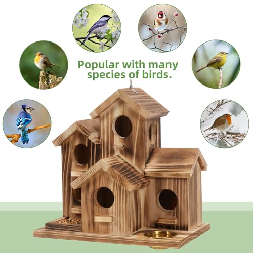 Bird House 5 Hole Bird Houses for Outside with Thickened Wooden Board，Birdhouse for Blue Bird Humming Bird and Chickadee Swallow. Hanging Edible Wild Bird Nest Garden Decorative