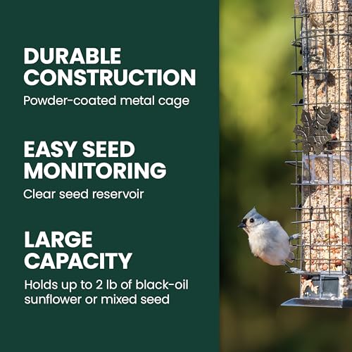 Perky-Pet Squirrel-Be-Gone Bird Feeder, 2 lb Seed Capacity | Weight-Activated Squirrel Proof Bird Feeder, Wild Bird Feeder for Outdoors with U-Shaped Perches and Clear Seed Reservoir