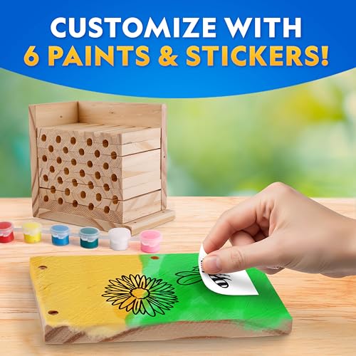 National Geographic Build a Bee Habitat Nature Craft Kit for Kids | Build and Paint a Mason Bee House, Outdoor Nature Craft, Pollinator Learning, Solitary Bee Hotel, Birthday Gift - style: DIY Bee Habitat