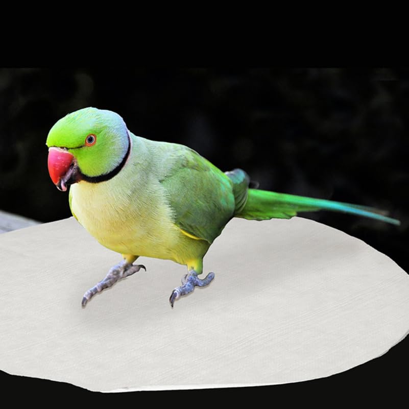 Abaodam 100Pcs Non-Woven Round Bird Cage Liners Absorbent Disposable Pads for Parrot and Small Animal Cages 12.59X12.59In Easy Clean Cage Bottom Cushions - size: 32x32cm