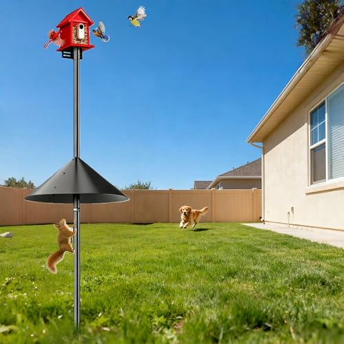 79" Smart Bird Feeder Pole Stand with 19" Proof Squirrel Baffle - Dia 1 Inch Bird House Pole for Camera Birdfeeder, Feeding Station for Outdoors Heavy Duty, Compatible Post Mount - size: 79IN
