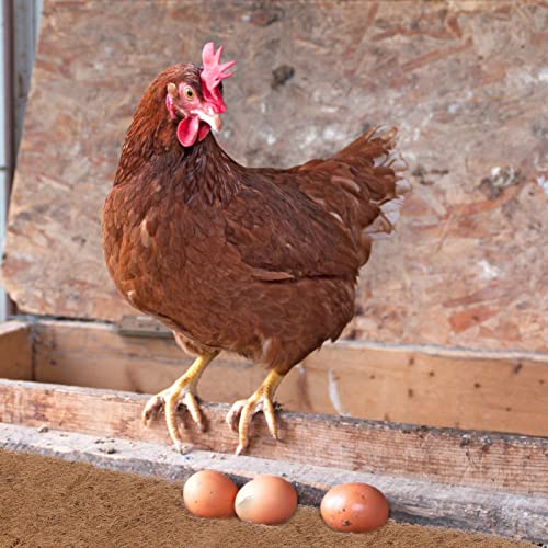 1pc Coconut Fiber Hatching Mat for Poultry Incubation Pet Incubation Pad Damp-Resistant Safe for Chick Nesting