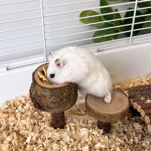 Apple Wood Feeding Bowl for Small Animals, Food Dish for Guinea Pig, Chinchilla Parrots - color: Stair Bowl