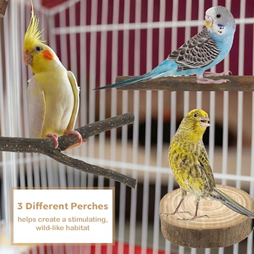8PCS Bird Perches for Cage Natural Wood Parrot Perch Stand Cage Accessories | Multi-Branch Platform with Fork Toys, Birds Perch Toy for Parakeet Cockatiel Budgie Conures Lovebirds