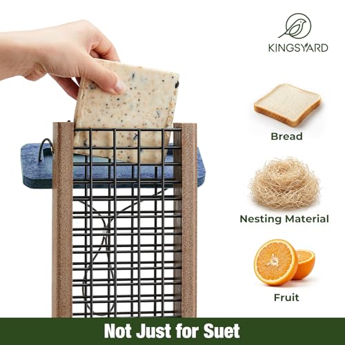 Kingsyard 2 Pack Double Tail-Prop Suet Bird Feeder | Recycled Poly Lumber Suet feeder, Sturdy & Durable, Outside Hanging, Great for Woodpecker & Clinging Birds, Green - color: Green