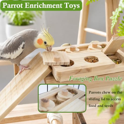 FlidRunest Wooden Bird Foraging Puzzle Platform with Climbing Ladder for Parrots, Parakeet, Cockatiel, Sun Conures - Birds Interactive Mental Enrichment Toy, Bird Seed Slow Feeder Toy for Cage