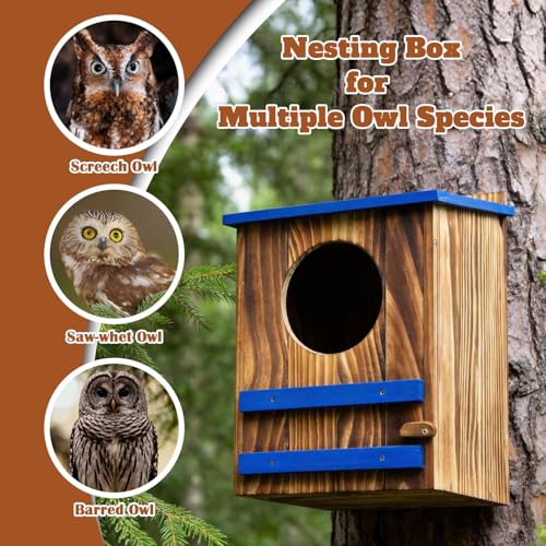 Screech Owl House for Outdoors,10"x10"x15" Large Carbonized Wood Barred Owl Nesting Box, Weather-Resistant Bird House with Blue Roof, Ventilation & Replaceable Perch, Garden Wildlife Habitat Gift