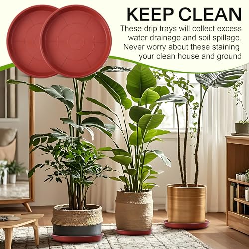 3 Pack Plastic Bird Bath Bowl, 14”Ground Bird Baths for Outdoor(Terracotta | Large Durable Birds Bath Dish for Garden Yard, Birds Water Bowl Feeder Tray Replacement, Weather Resistant ABS Plastic - color: Terracotta