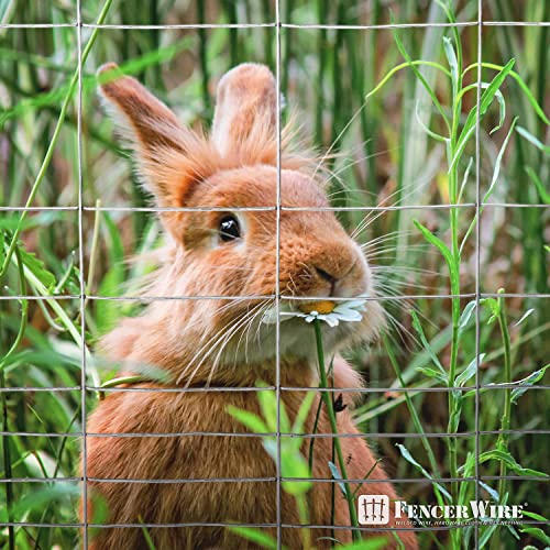 Fencer Wire Rabbit Guard Fence, 16 Gauge Galvanized Welded Wire Fence for Preventing Rabbits, Dogs, Cats, Chickens, and Other Small Animals from Damaging The Garden (24 in. x 50 ft.) - size: 24 in. x 50 ft., style: Galvanized Welded