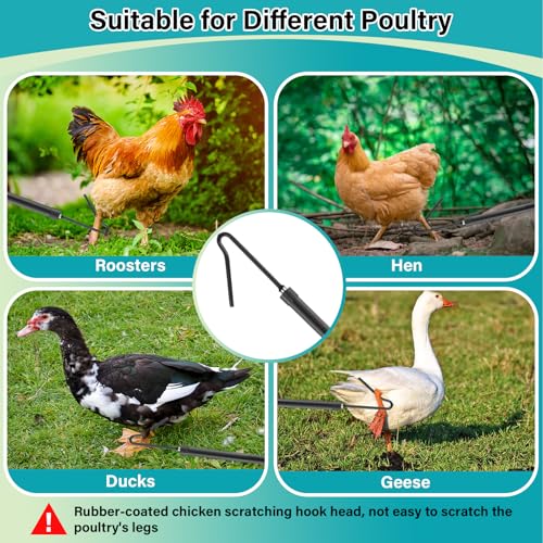 Chicken Catcher Net,37 to 64in Chicken Catcher Leg Hook Extra Long Handle Animal Catcher Pole Heavy Duty with Frosted Tube Extension Pole Poultry Hook Fowl Catcher (Black, 64in) - color: Black, size: 64in