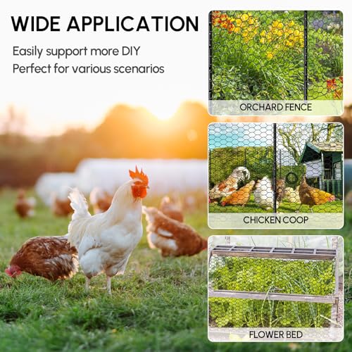 24in x 150ft Chicken Wire, Black Poultry Wire Netting, Hexagonal Galvanized Mesh, Outdoor Anti-Rust Surface Plastic Coating, Garden Fence Animal Barrier for Pet Rabbit Chicken Fencing - size: 24in(H)x150ft(L)