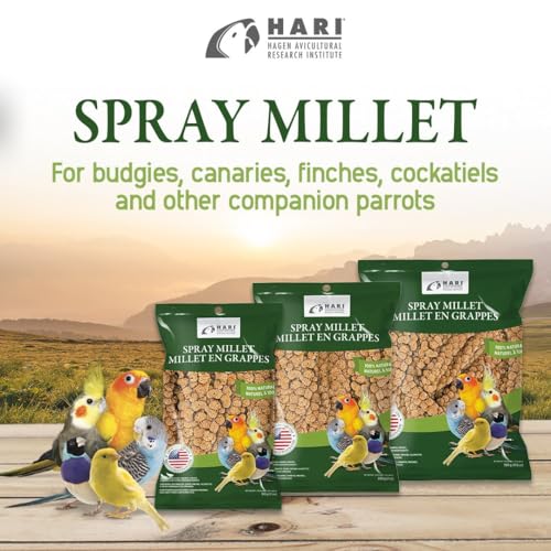 Living World Millet Spray for Birds, 17.6 Oz | Premium Treat for Budgies, Canaries, Finches, Cockatiels and Other Pet Birds - size: 1.1 Pound (Pack of 1)
