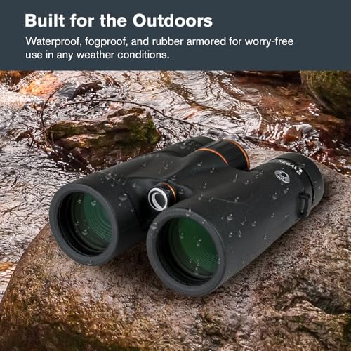 Celestron Regal ED 10x42 Roof Binoculars – ED Glass for Hunting & Wildlife | Premium ED Optics, Phase, Dielectric Coated BaK–4 Prism, Fully Multi–Coated Glass, 6.5 ft Close Focus, Tripod Adaptable - size: 10x42mm
