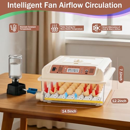 36 Eggs Incubators, Chicken Incubator with Automatic Egg Turning | Incubators for Hatching Chicken Eggs, Quail Incubator with 4 Auto Incubate Mode, with Humidity Display Auto Water Filling - color: White, size: 36 Egg