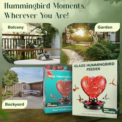 Hand Blown Glass Hummingbird Feeder for Outdoors All Season Use - 28 Fl. Oz. Leak Proof Hummingbird Feeder with Rust Proof Base - Includes Ant Moat, Ant & Bee Proof (Red) - color: Red